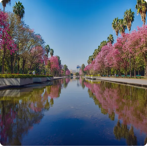 Porto Alegre e Serra Gaúcha